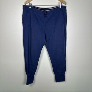 PATAGONIA Women's Navy Ahnya Jogger Active Loungewear Pants